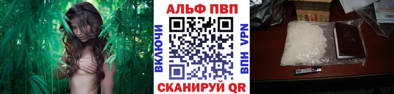 blacksprut онион Бабаево Альфа ПВП СК