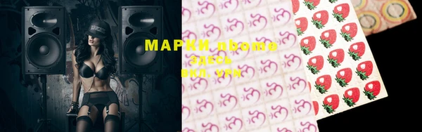 шишки Алзамай