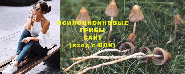 соль ск Алексеевка