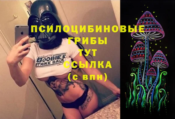 герыч Алексин