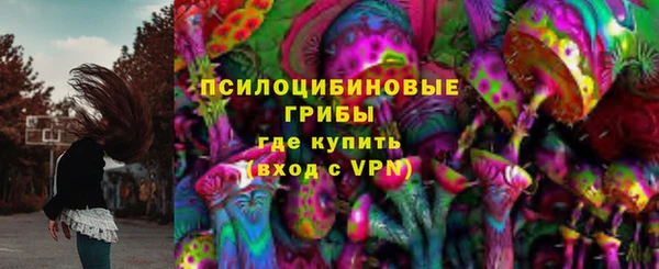 герыч Алексин