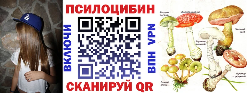 Галлюциногенные грибы GOLDEN TEACHER  Бабаево 