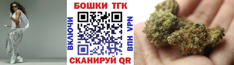 Канабис план  Бабаево 